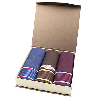 Чоловічі носові хустки EGA CH-630/3 С 3 шт