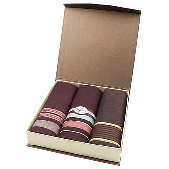 Оригінальні чоловічі носові хустки EGA CH-630/3 С 3 шт