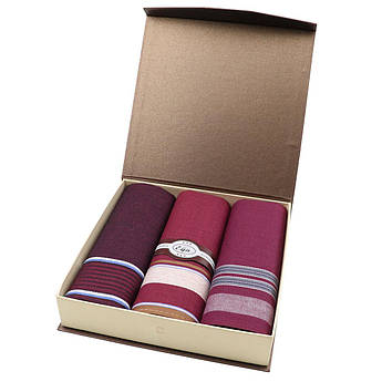 Чоловічі носові хустки в бордовому кольорі EGA CH-630/3 С 3 шт