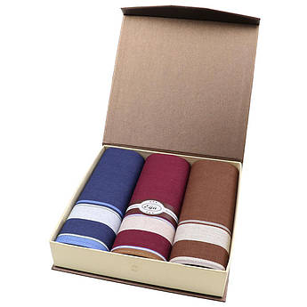 Бавовняні чоловічі носові хустки EGA CH-630/3 С 3 шт