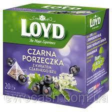Чай фруктовий Loyd смородина-квіти бузини 40 гр, фото 1
