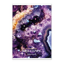 Книга канцелярська A4, 96 арк. клітинка, м. обк. ЛАК "Brisk GOLD" / Brilliance