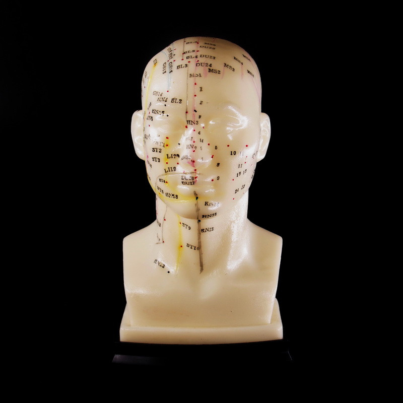 Макет голови., фото 1