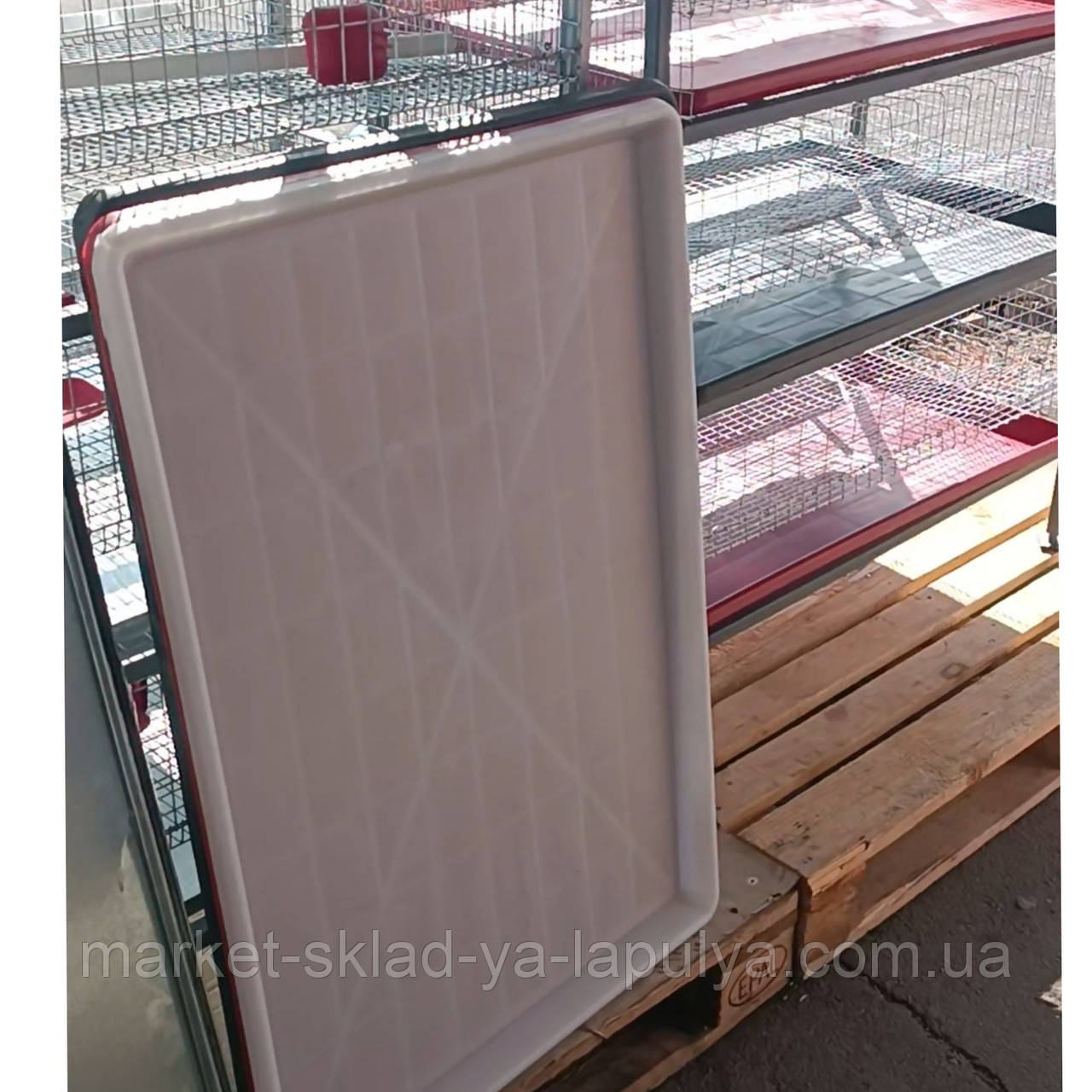 Піддон для курячих та перпелиних кліток білий, червоний 60*90см, фото 1