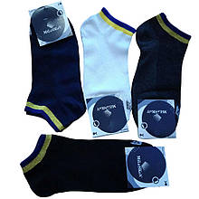 Шкарпетки чоловічі демісезонні 1185 (41-45) текстиль 12 шт (BOT)