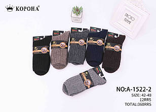 Шкарпетки чоловічі Термо носок вовна 41-47 (10 шт.)