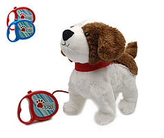 Собачка м'яка на повідку, гавкає, ходить, виляє хвостом