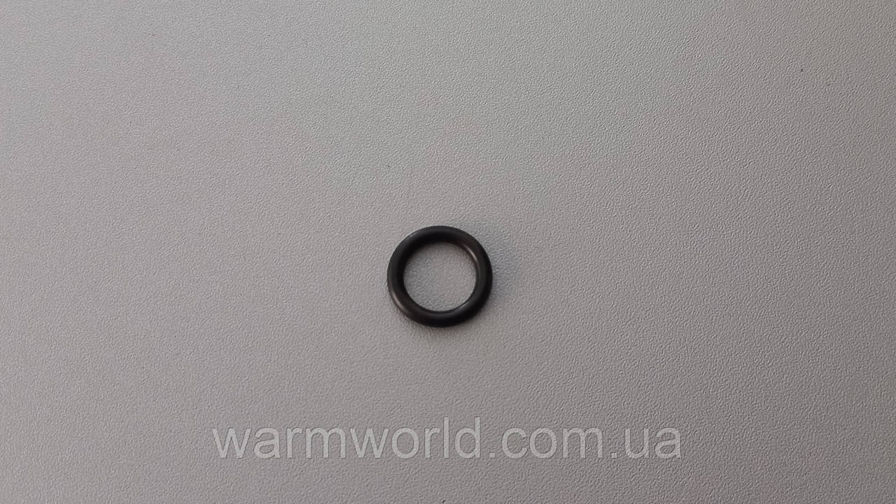 2000801950 Ущільнення прокладка 19 (13) х 3,0 мм S5466100 Protherm, фото 1
