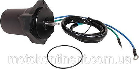 6CJ-43880-10 Мотор трима Yamaha F60 \ F70, фото 2