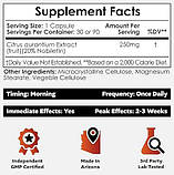 Nootropics Depot Нобілетін (Nobiletin): пам’ять, циркадні ритми, метаболізм 250 мг, 30 капсул, фото 2