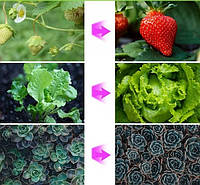 Фітолампа для рослин четверна USB з таймером і регулюванням яскравості, фото 10