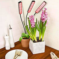 Фітолампа для рослин потрійна USB з таймером і регулюванням яскравості, фото 4