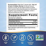 Nature's Way, Skullcap Herb (Шоломниця), 100 веганських капсул, фото 2