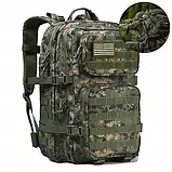 Vanguard M50 — професійний тактичний рюкзак 50 л з фіксатором MOLLE, фото 4