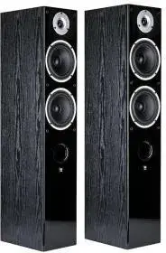 Фронтальні акустичні колонки Wilson Raptor 7 чорна пара