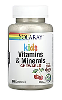 Kids Vitamins & Minerals - 60 Chewables - Solaray (Вітаміни та мінерали для дітей Соларай)