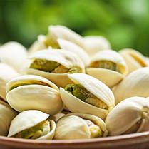 Саджанці фісташки сорт Гірська Перлина 2 річні, конт. 0.8 л, фото 3