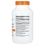 Doctor's Best, гінкго, 120 мг, 360 вегетаріанських капсул, фото 2