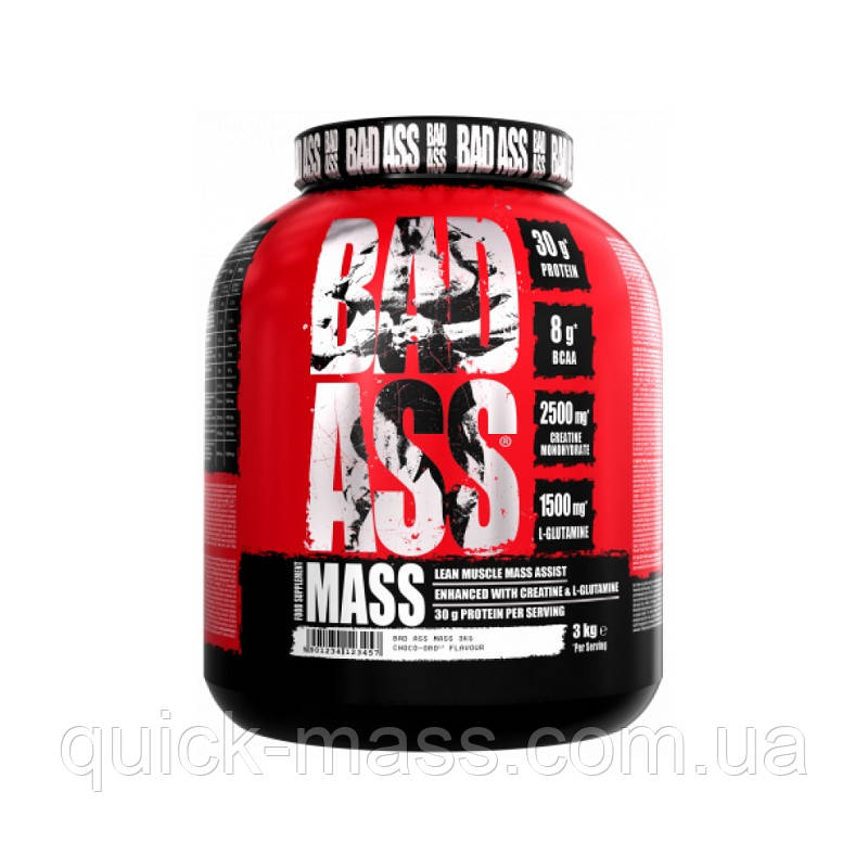 Гейнер з креатином BAD ASS Mass 3kg, фото 1