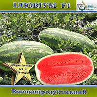 Кавун Ілювіум F1 / Illuvium F1, 1000 насінин, ТМ Libra Seeds