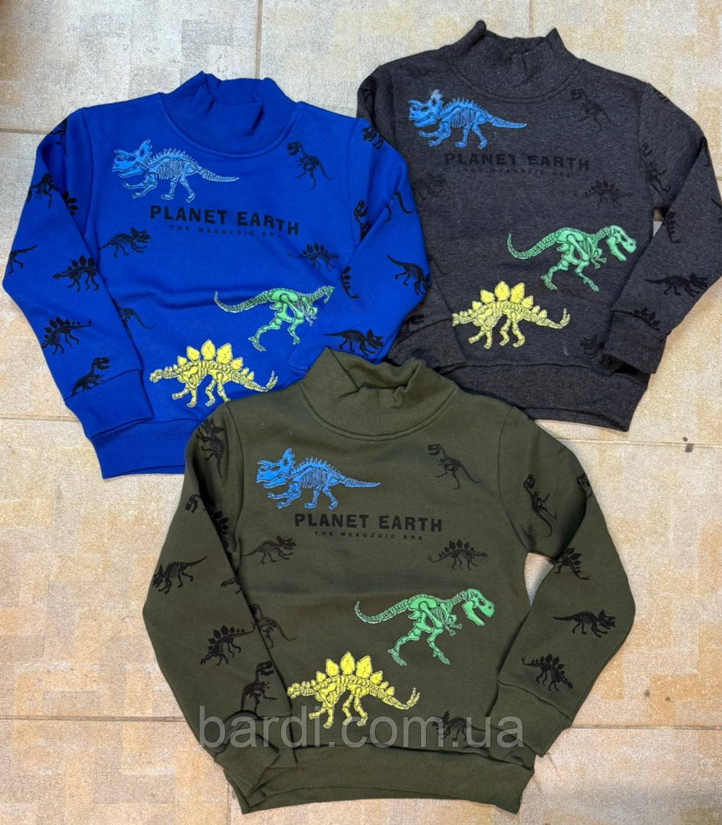 Кофта для хлопчиків  4-8 тринитки з начосом