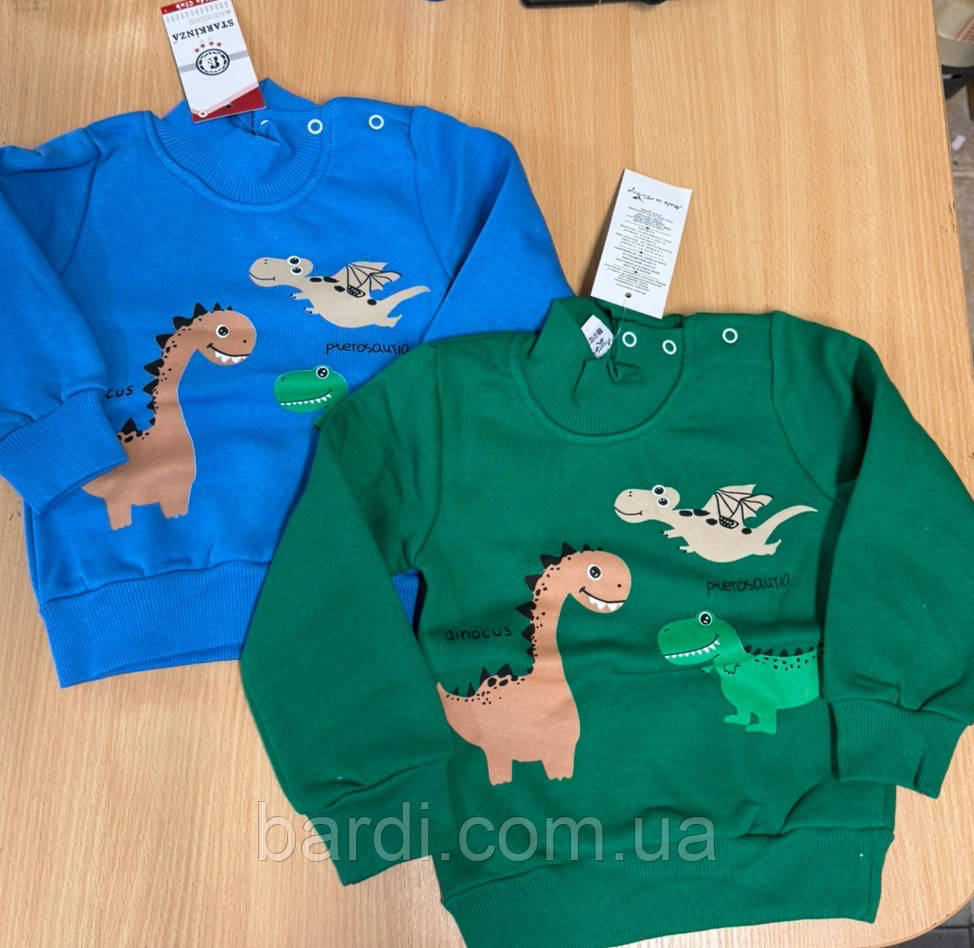 Кофта для хлопчика 1-4 тринитки з начосом