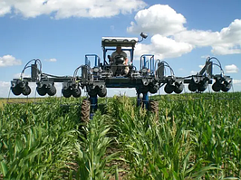 Портальні трактори для зрізання листя