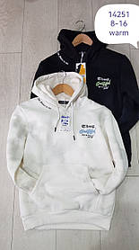 Толстовка утеплена для хлопчиків оптом, Grace, 8-16 рр., арт. B14251
