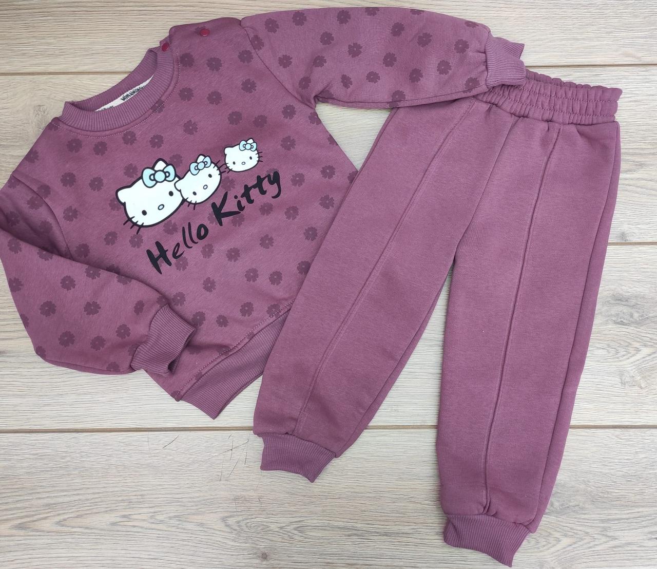 Дитячий костюм тринитка з начосом для дівчаток розміри 6-9, 9-12, 12-18, 18-24 місяців, фото 1