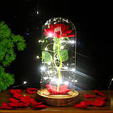 Вічна троянда у скляній колбі з LED підсвічуванням, на батарейках, червона/коричневе дно, фото 4