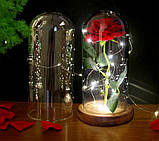 Вічна троянда у скляній колбі з LED підсвічуванням, на батарейках, червона/коричневе дно, фото 2