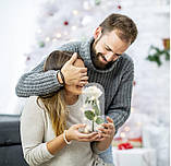 Вічна троянда у скляній колбі з LED підсвічуванням, на батарейках, біла/світле дно, фото 4