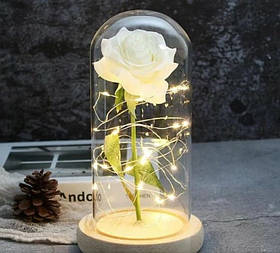 Вічна троянда у скляній колбі з LED підсвічуванням, на батарейках, біла/світле дно