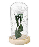 Вічна троянда у скляній колбі з LED підсвічуванням, на батарейках, біла/світле дно, фото 3