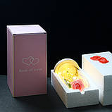 Вічна троянда у скляній колбі з LED підсвічуванням, на батарейках, рожева/коричневе дно, фото 3