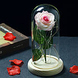 Вічна троянда у скляній колбі з LED підсвічуванням, на батарейках, рожева/світле дно, фото 4
