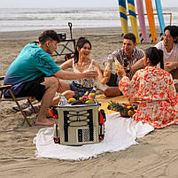 Акумуляторний холодильник-рюкзак Litheli 16л, живлення від павербанку (УМБ Litheli Power Bank 20000 mAh, 45 W в комплекті), фото 8