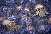 Шпалери Слов'янські шпалери вінілові на флізеліновій основі 1,06 х 10,05м Elegance Селена В121 2384-20