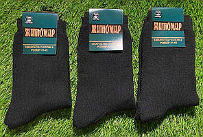 Шкарпетки чоловічі теплі (Житосвіт КВМ)