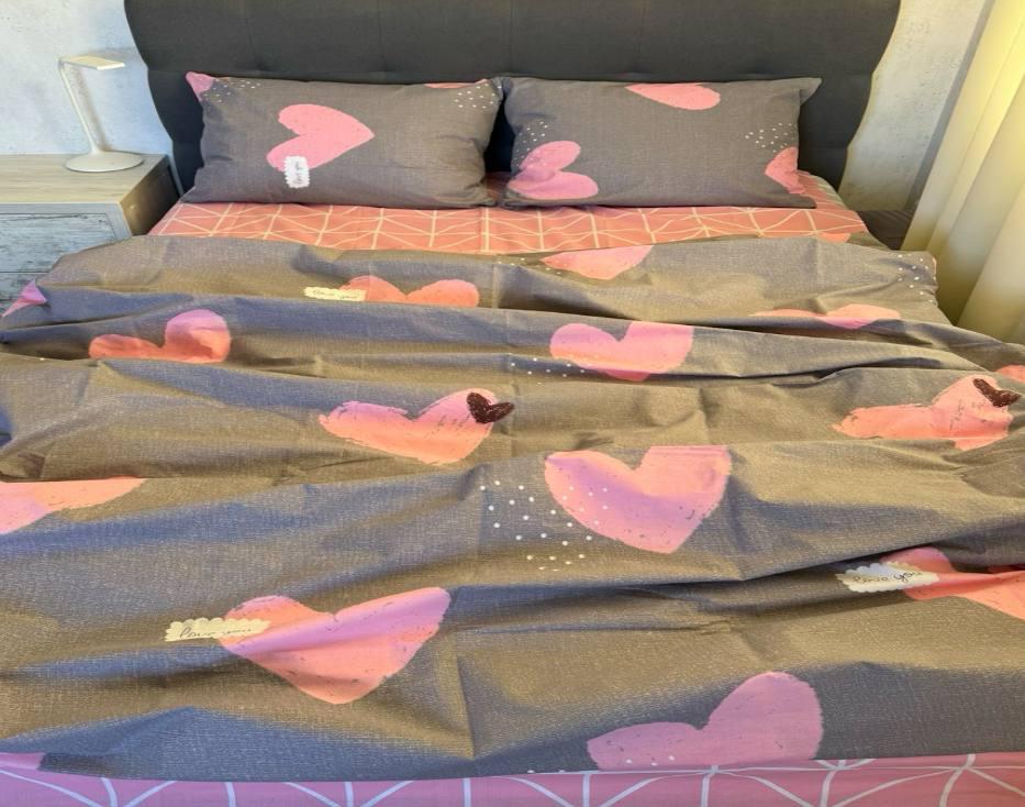 Постільна білизна євро 100% бавовна/Комплект постільної 200*220, фото 1