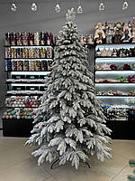 Засніжена лита ялинка Версаль у снігу