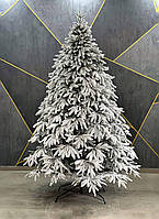 Засніжена лита ялинка Альпійська у снігу