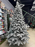 Засніжена лита ялинка Ковалівська у снігу