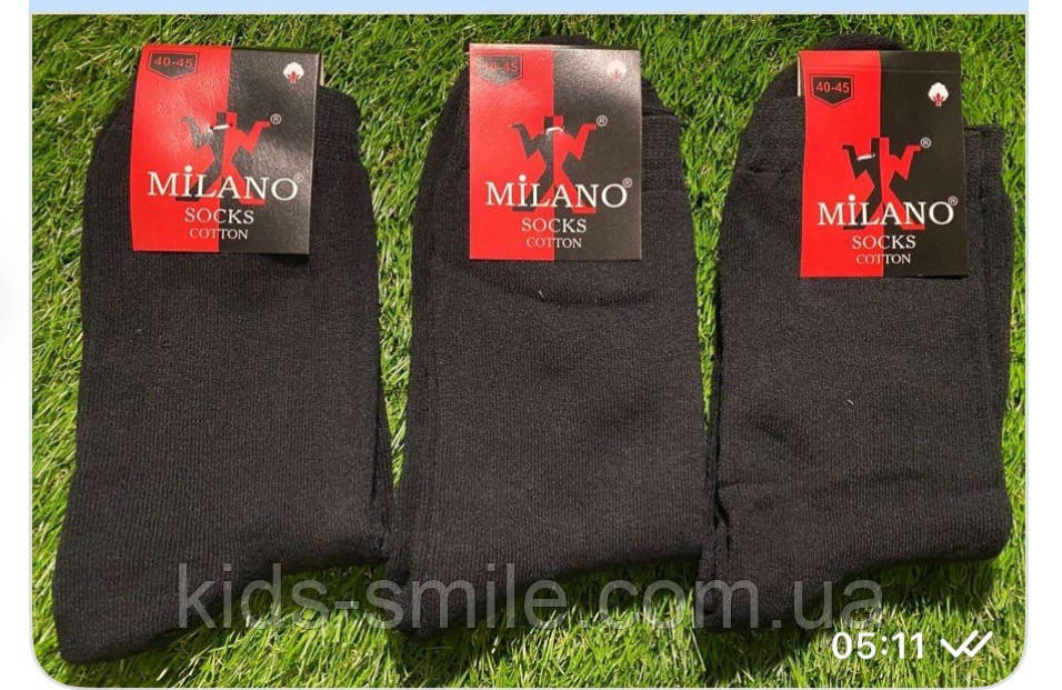 Шкарпетки чоловічі теплі (Житосвіт КВМ)