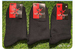 Шкарпетки чоловічі теплі (Житосвіт КВМ)