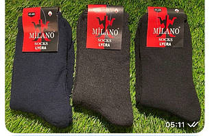 Шкарпетки чоловічі теплі (Житосвіт КВМ)