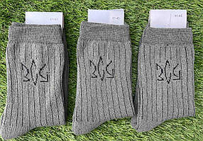 Шкарпетки чоловічі теплі (Житосвіт КВМ)