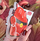 Грілка для рук дитяча багаторазова Котик. Грілка сольова портативна для дітей і дорослих, фото 6