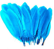 Пір'я гусака Декоративне перо Колір Бірюзовий 8-15 см