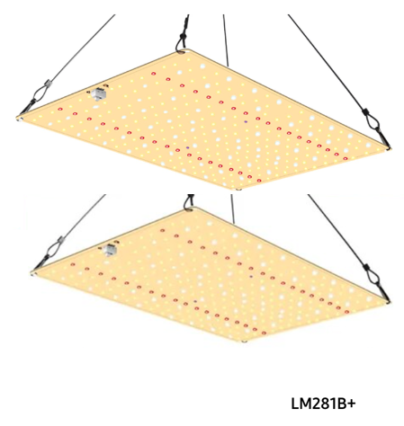 Фітолампа для рослин GrowBoard 300W(V2) lm281b повного спектра
